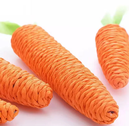 Carota tiragraffi per gatti - Antistress per il tuo PET