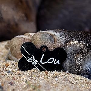 Targhetta per cani Personalizzata - in Alluminio incisa a Laser